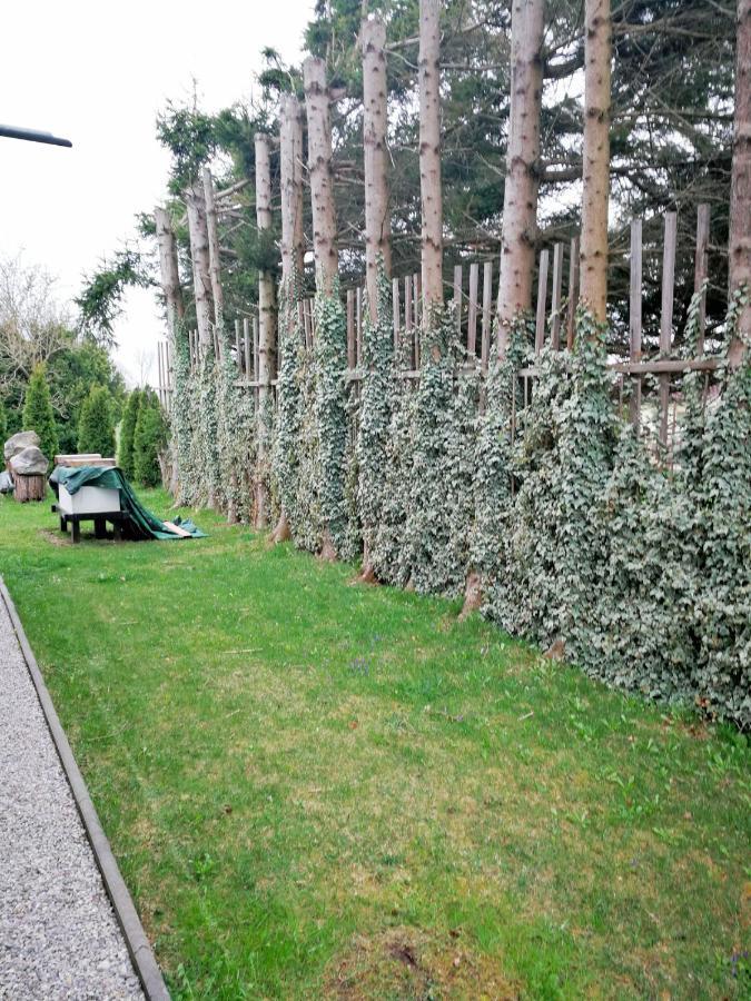 Muensing Naehe Starnberger See, Schoene Ferienwohnung, Gaestewohnung 125Qm Eg Und Og Kontaktfrei Kültér fotó